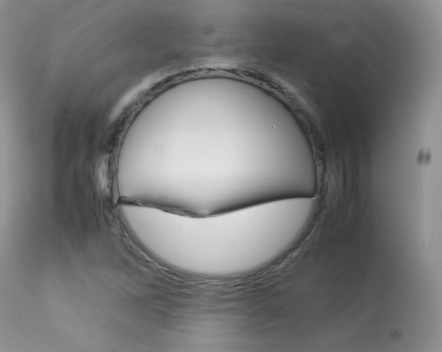 X0000113641262200909181321
