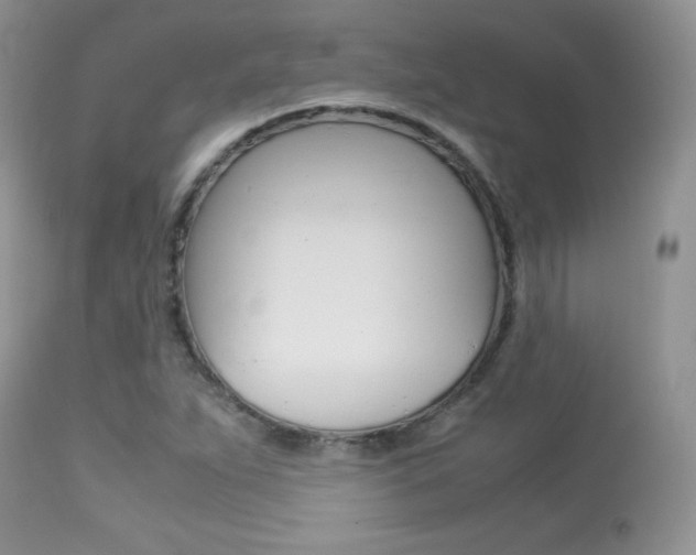 X0000113641263200909181321