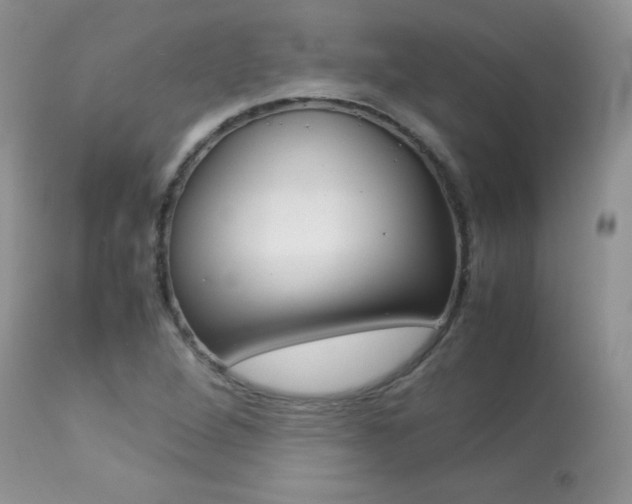 X0000113641264200909181321