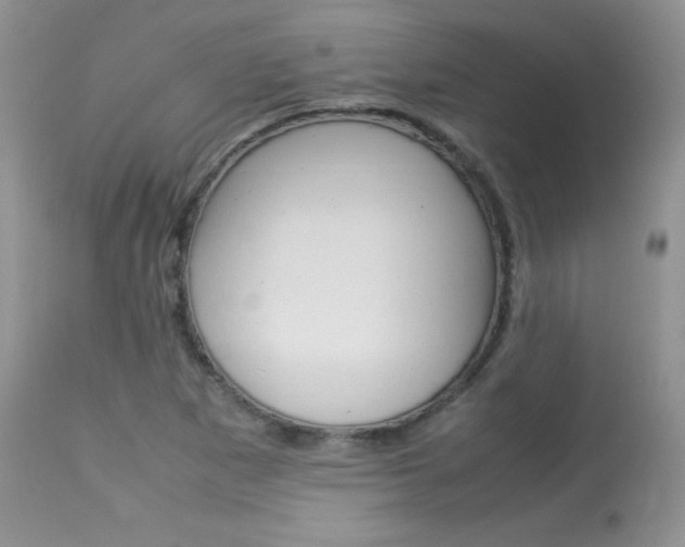X0000113641265200909181321