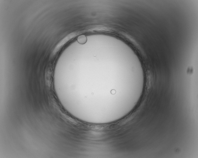 X0000113641266200909181321