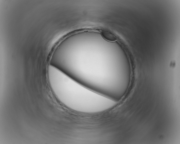 X0000113641267200909181321