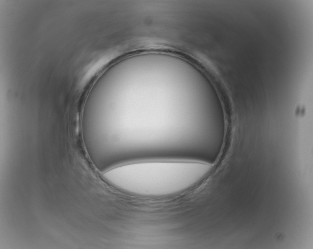X0000113641269200909181321