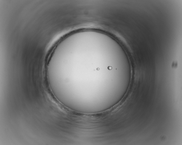 X0000113641270200909181320