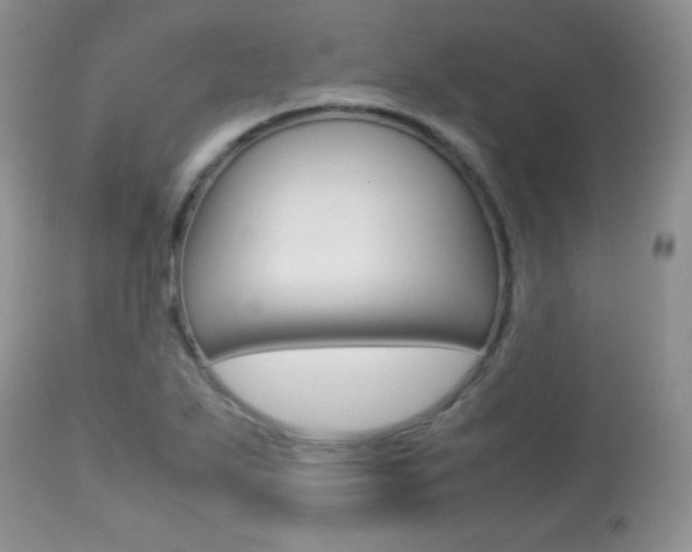 X0000113641271200909181320