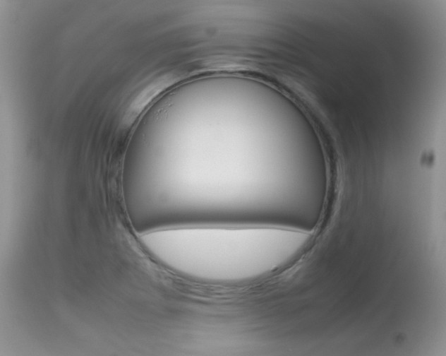 X0000113641273200909181320