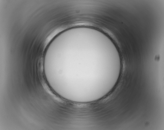 X0000113641274200909181320