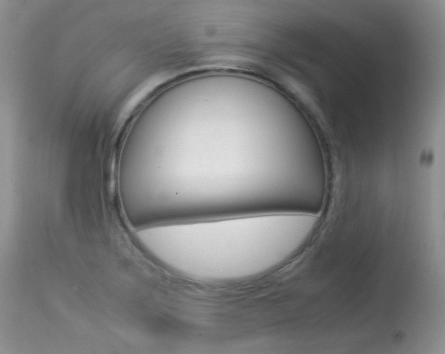 X0000113641275200909181320