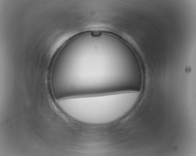 X0000113641277200909181320