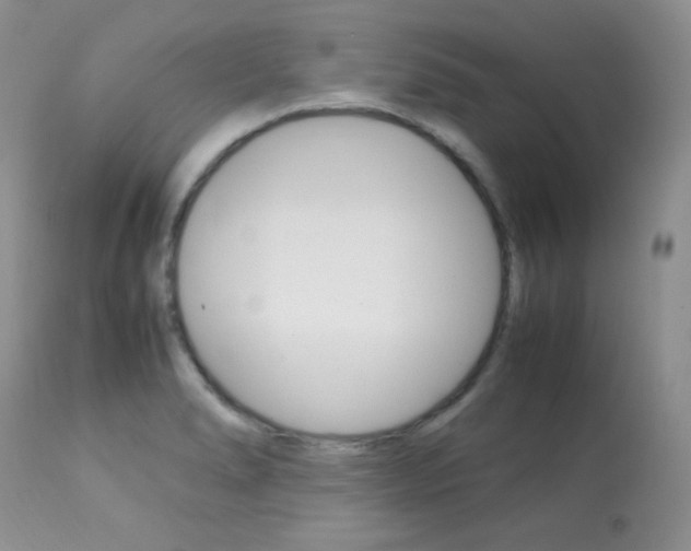 X0000113641278200909181320