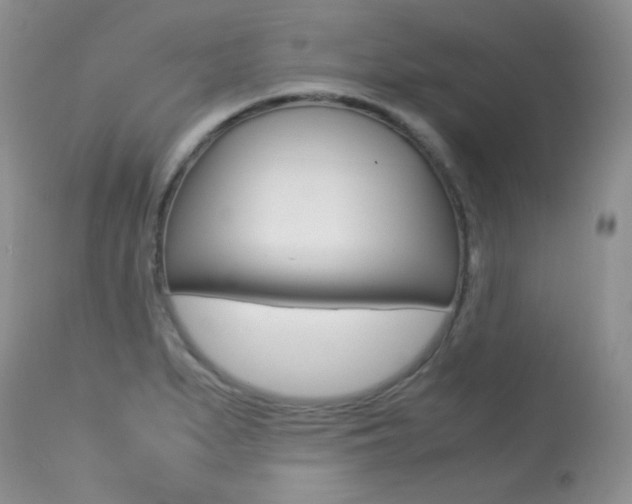 X0000113641279200909181320