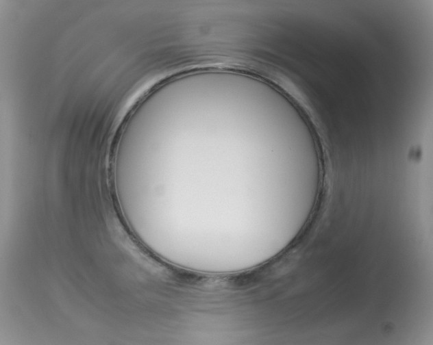 X0000113641283200909181320