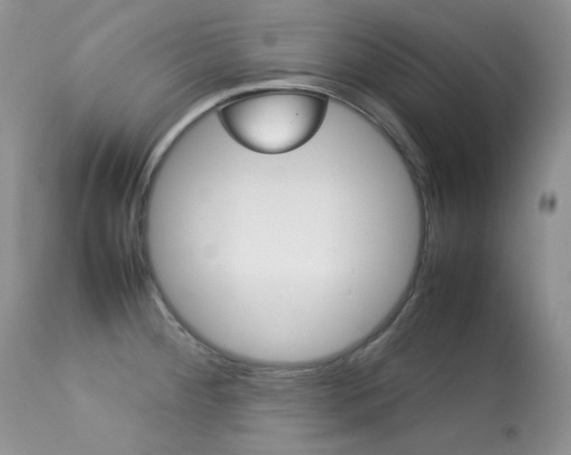X0000113641284200909181320