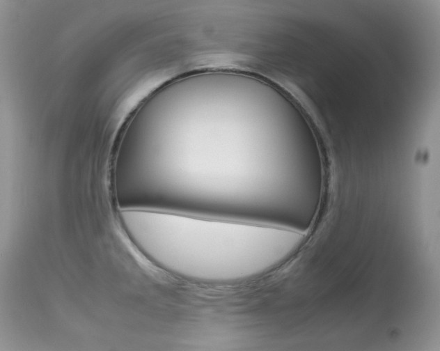X0000113641285200909181320