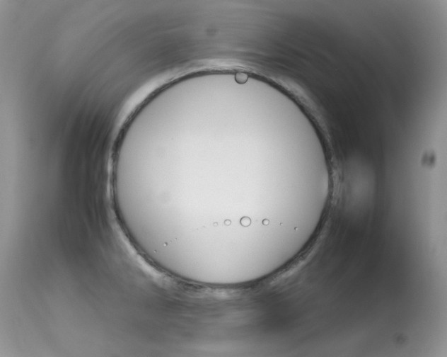 X0000113641286200909181320