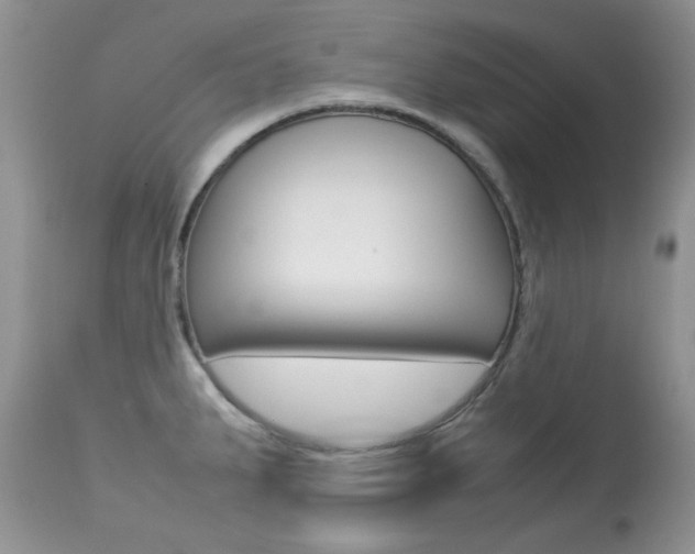 X0000113641287200909181320