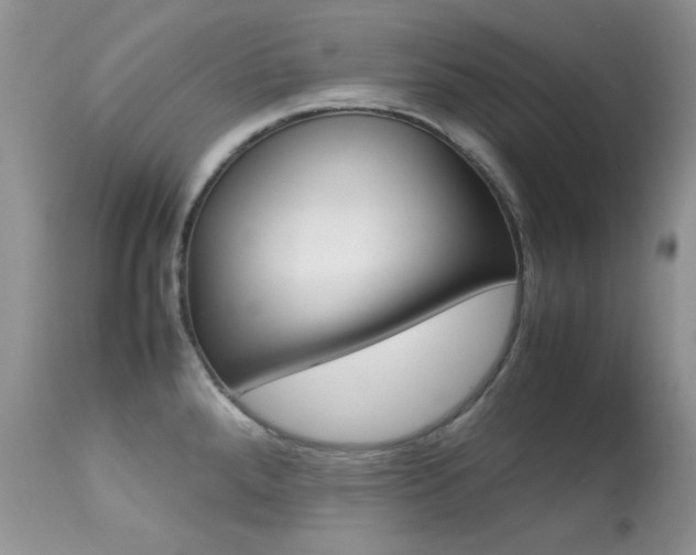 X0000113641288200909181320