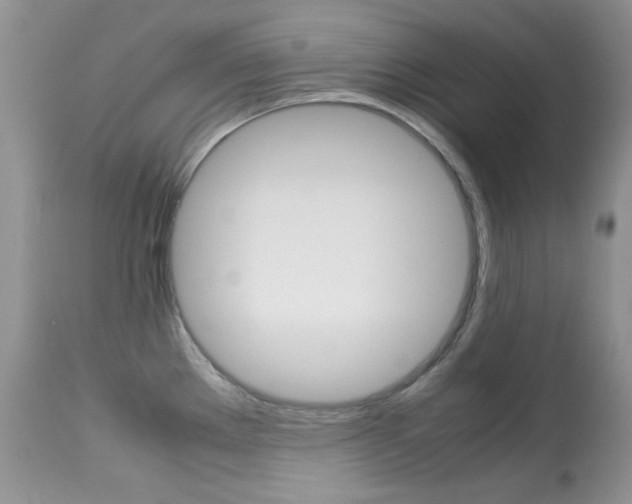 X0000113641289200909181320