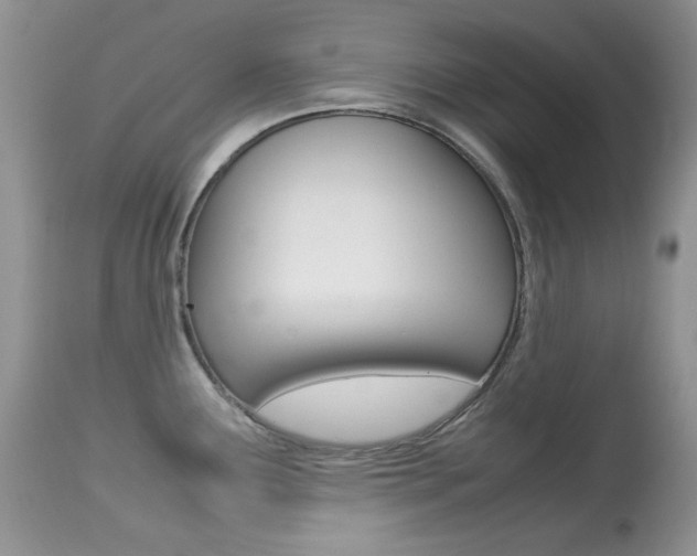 X0000113641291200909181320