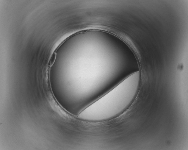 X0000113641292200909181320