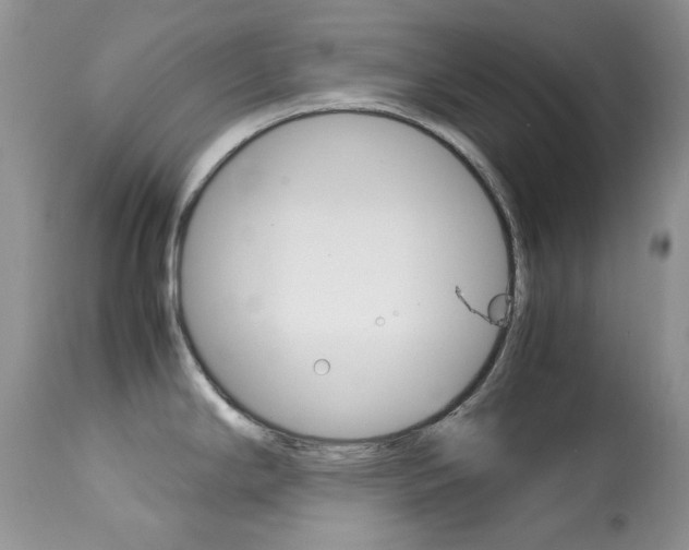 X0000113641294200909181320