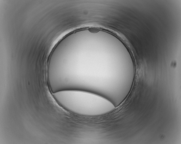 X0000113641295200909181320