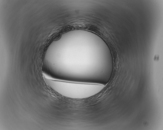 X0000113641297200909181319