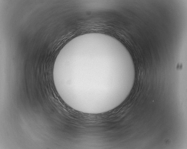 X0000113641298200909181319