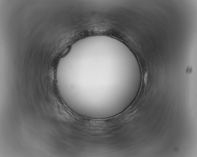X0000113641299200909181319