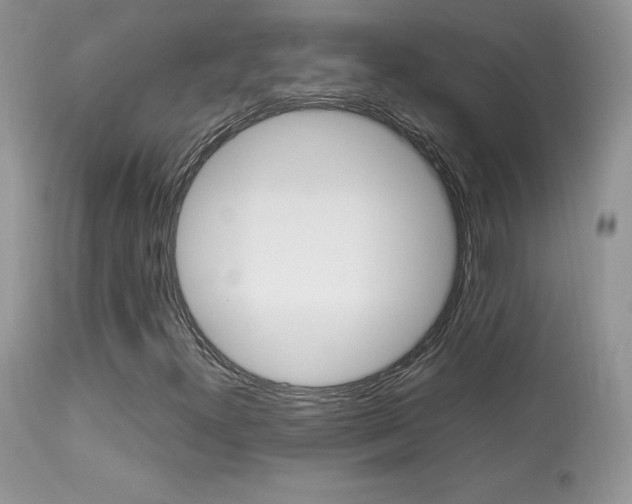 X0000113641300200909181319