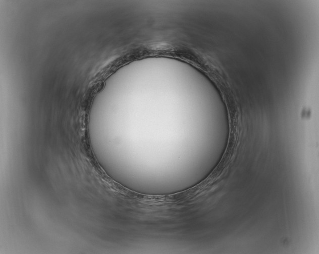 X0000113641301200909181319