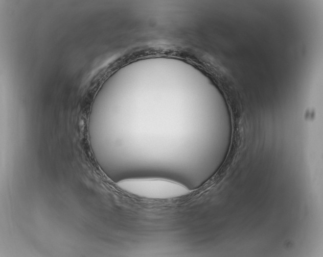 X0000113641302200909181319