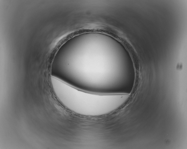 X0000113641304200909181319