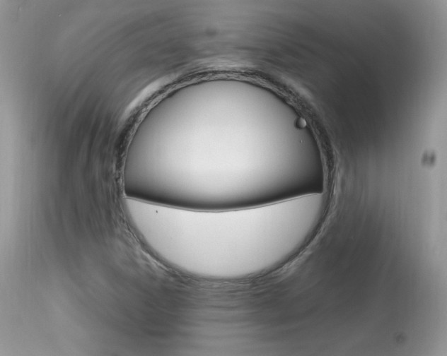 X0000113641306200909181319