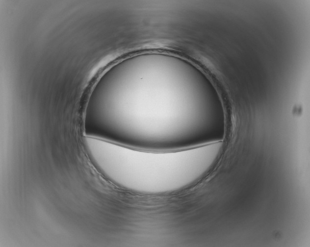 X0000113641308200909181319