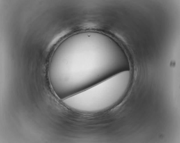 X0000113641309200909181319