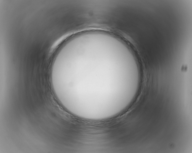 X0000113641310200909181319