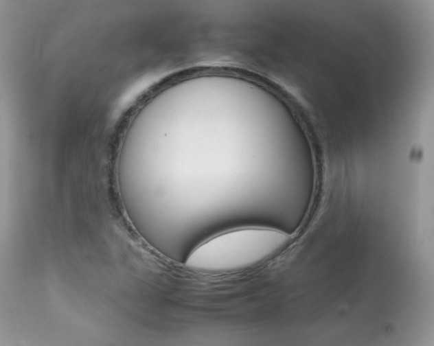 X0000113641311200909181319