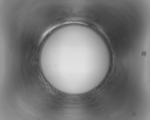 X0000113641312200909181319