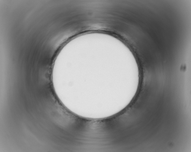 X0000113641314200909181319