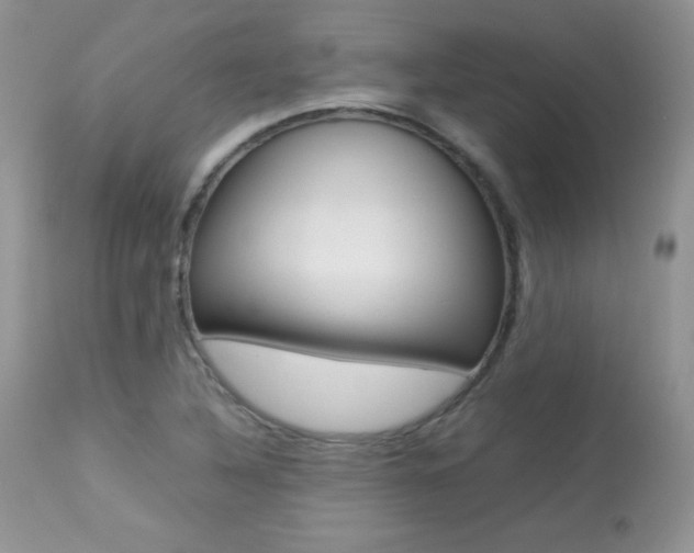 X0000113641316200909181319