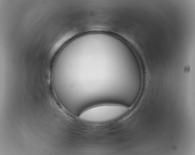 X0000113641317200909181319