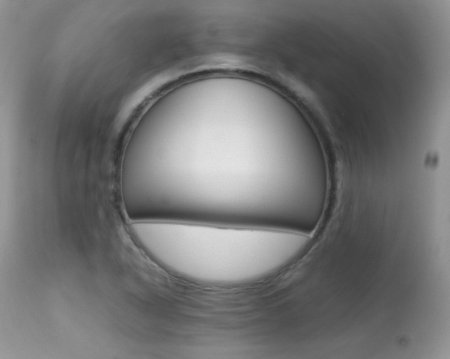 X0000113641318200909181319