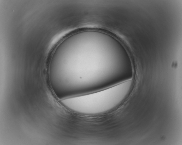 X0000113641319200909181319