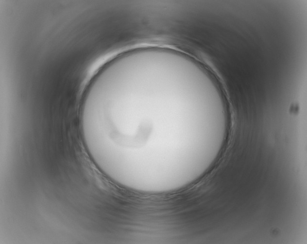 X0000113641320200909181319