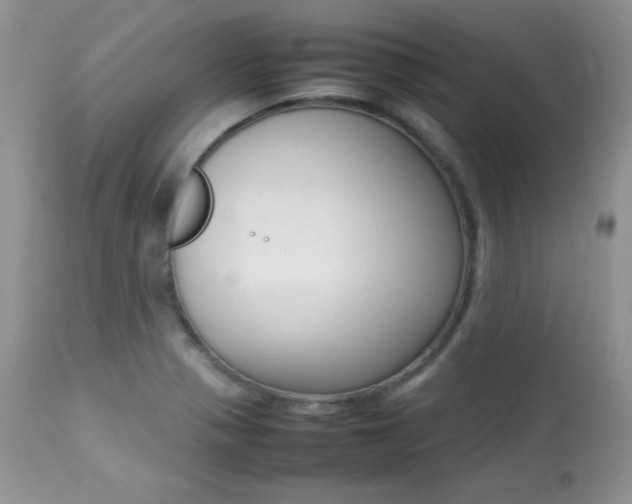 X0000113641321200909181319