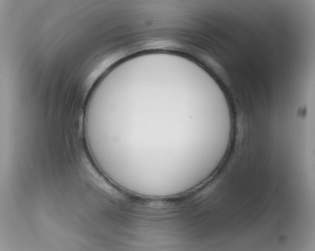 X0000113641322200909181319