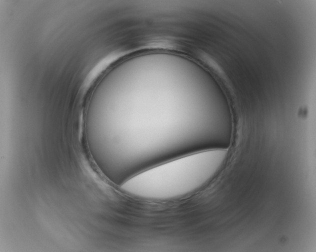 X0000113641323200909181319