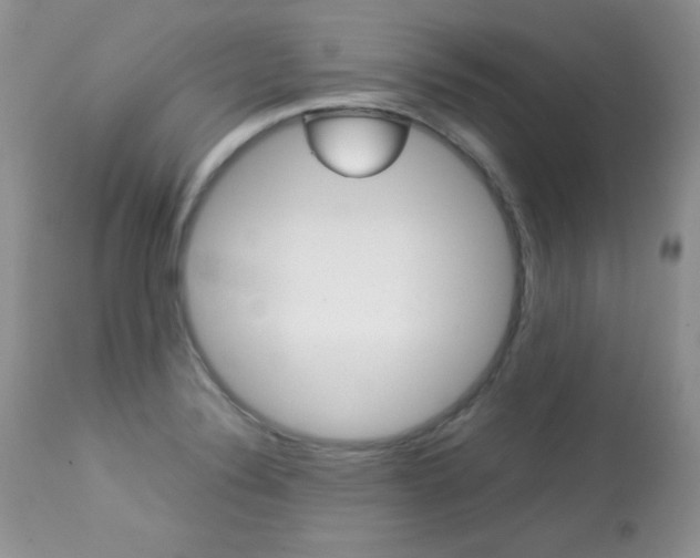 X0000113641324200909181320