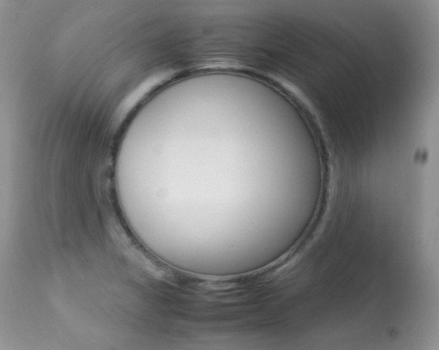 X0000113641325200909181320